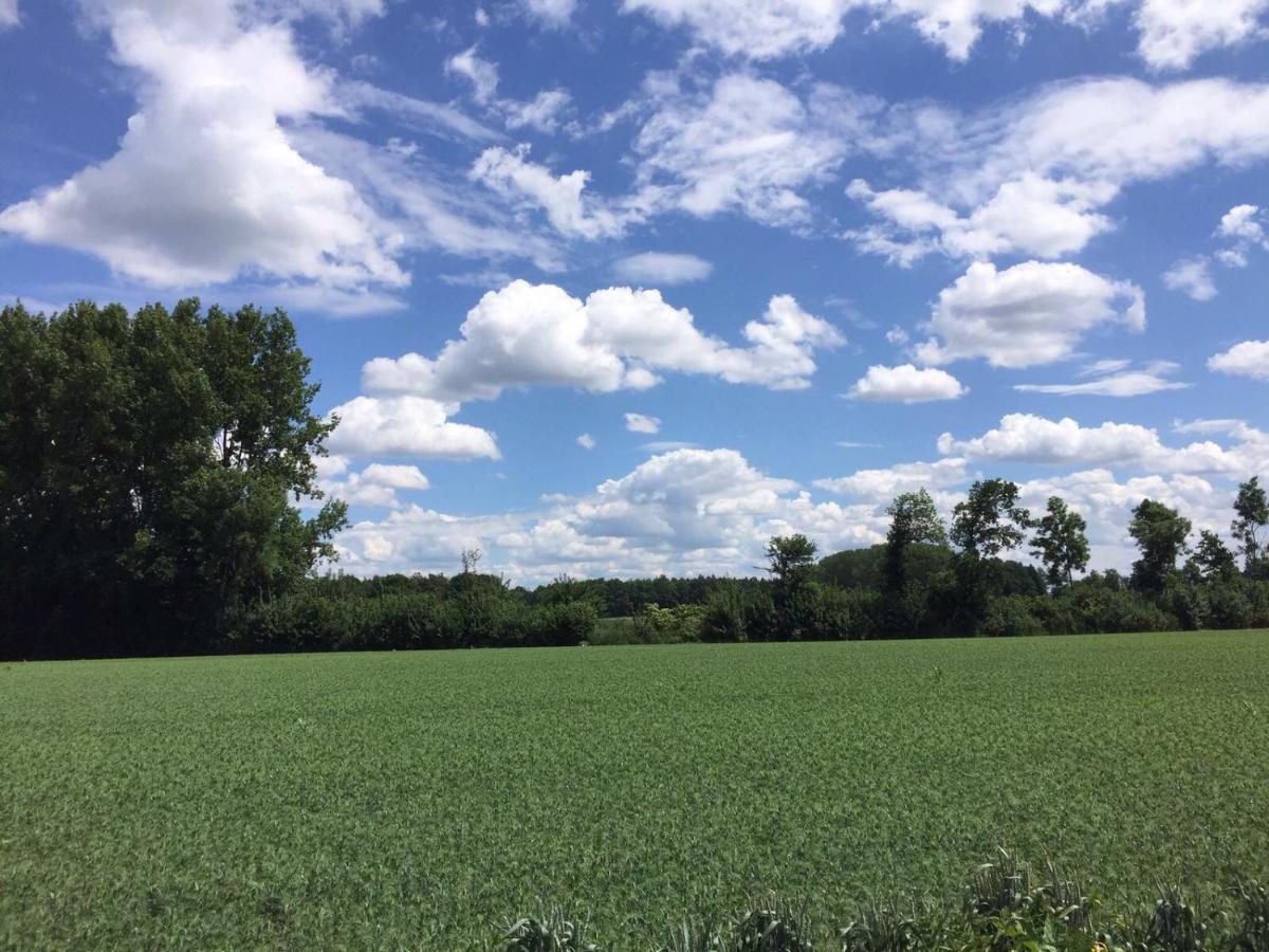 Hoeve Delshorst Heibloem Zewnętrze zdjęcie