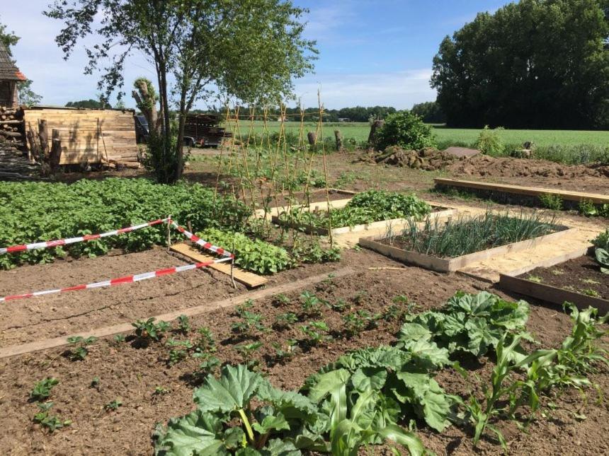 Hoeve Delshorst Heibloem Zewnętrze zdjęcie